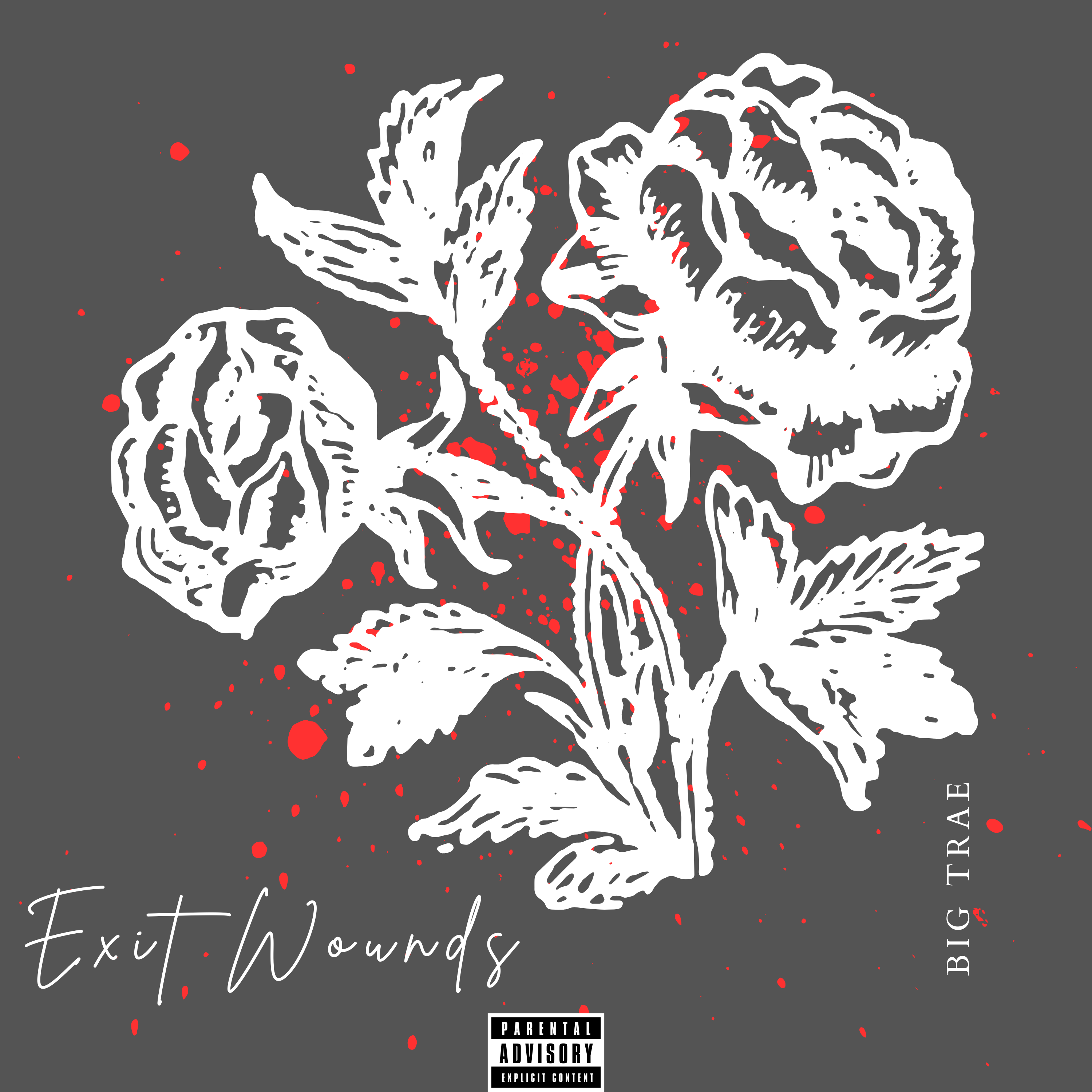 Exit Wounds by Big Trae